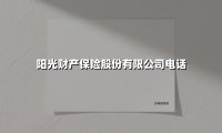 阳光财产保险客服专线全景解读：关键号码与高效服务，一篇看懂！