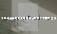 2025最新指南：北京城镇职工社保平台登录与操作全攻略