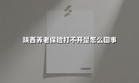 陕西养老保险APP打不开的常见问题及解决方案