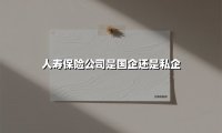 中国人寿:解析巨擘企业的国有基因与市场航向