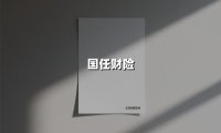 国任财险:用创新产品护航创业者,以战略升级点燃发展引擎