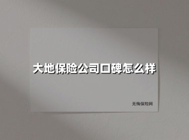 深度剖析：大地保险的口碑究竟如何？全方位解读车主真实评价