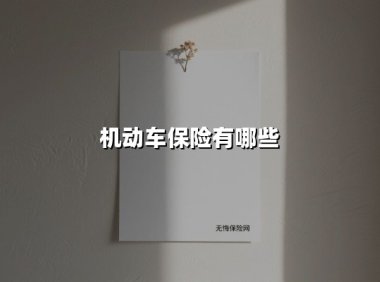 2025车主必看：机动车保险全解析与选购指南