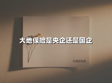 大地保险是央企还是国企？揭开企业性质与行业地位的真相