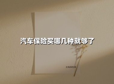 2025年最实用车险选购指南：这五种险种帮你省心又省钱