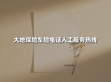 24小时守护您的行车安全：大地保险车险电话人工服务全解析