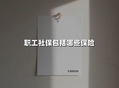 职工社保全解析：一文看懂五大险种与你的权益守护
