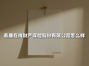 科技赋能大健康生态：解密泰康在线财产保险的突围之道