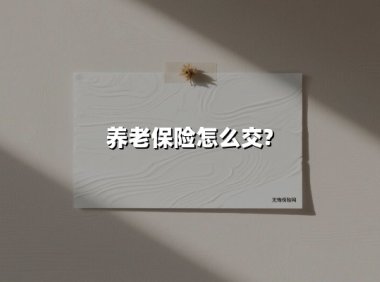 2025年养老保险缴纳全攻略：你的晚年保障由今天的选择决定