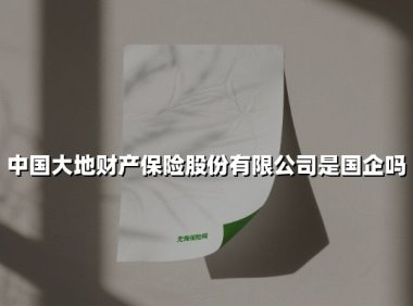 中国大地财产保险是国企吗？起底央企背景的国民险企发展之路