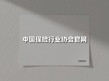 中国保险行业协会：构建新时代风险防御体系的实践与创新