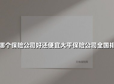 2025年买车险怎么选？这几家保险公司性价比高，太平保险排名第几？