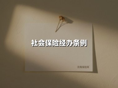 《社会保险经办条例》深度解读：便民服务改革助力民生保障