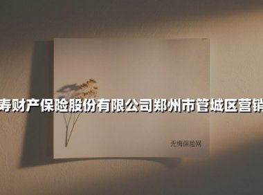 守护万家灯火｜中国人寿财险郑州管城区的民生保险新实践