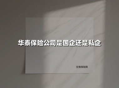华泰保险公司：国企还是私企？深入解析股权结构与市场定位