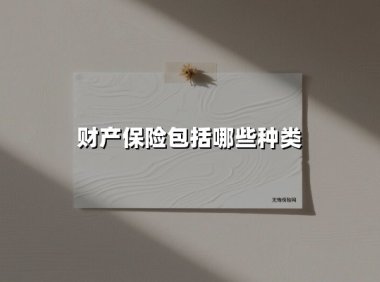 一纸读懂财产保险：种类划分与实用指南（2025新版）