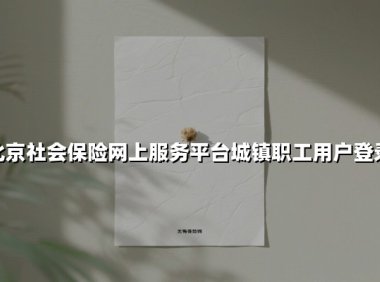 2025最新指南：北京城镇职工社保平台登录与操作全攻略