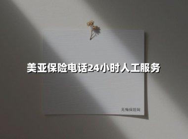美亚保险24小时人工电话服务：您的全天候风险护航专家