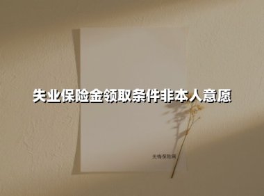 失业了别慌！2025年“非本人意愿离职”失业保险金领取指南（附最新政策解析）
