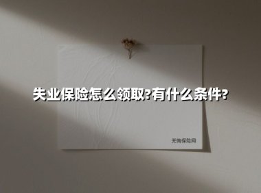 失业保险怎么领？最新政策+实操指南（2025版）