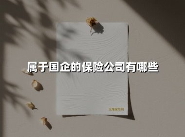 中国国企保险公司全解析：实力与责任并存的行业标杆