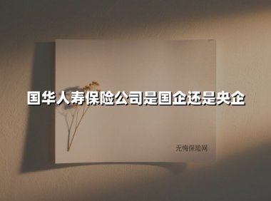 中国人寿保险股份有限公司：副部级央企身份的金融巨擘
