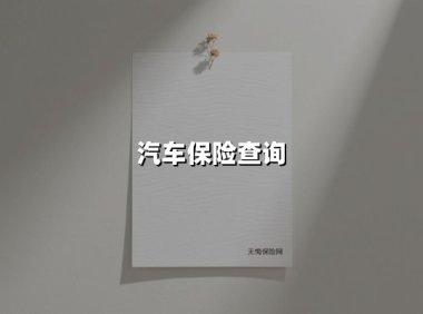 汽车保险查询(2025最新权威解答)