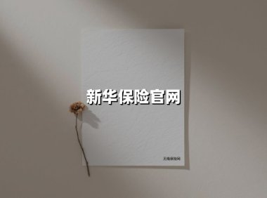 新华保险官网(2025最新)