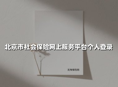 北京市社会保险网上服务平台个人登录操作全解析：最新功能与服务速览