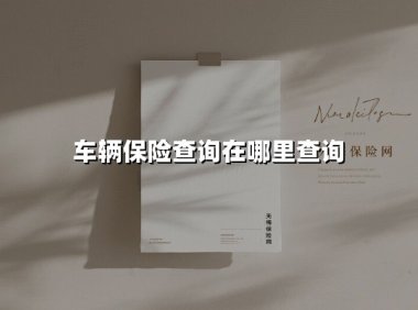 车主必看：2025年最新车辆保险查询全攻略，一文解锁3大官方渠道+5种实用方法
