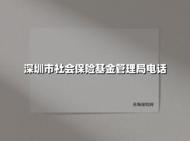 深圳市社会保险电话服务指南：最新联系方式与实用咨询技巧（2025年版）