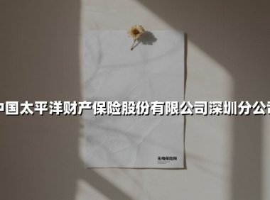 中国太保产险深圳分公司：以责任与创新守护城市发展新篇章