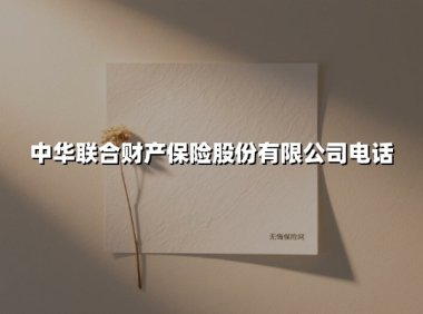 中华联合财险24小时服务专线指南：一文掌握高效联系方式