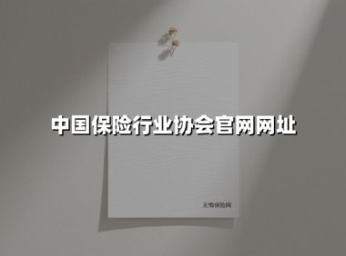 中国保险行业协会：构建行业生态的监管中枢与服务港湾