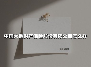 深耕责任与温度的中国标杆险企：透视中国大地财产保险的立体服务版图