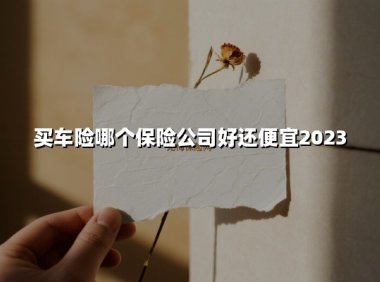 买车险选哪家?2023年高性价比车险公司推荐指南