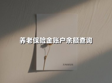 2025年最新指南:养老保险账户余额查询全攻略——轻松掌握3分钟查清养老金