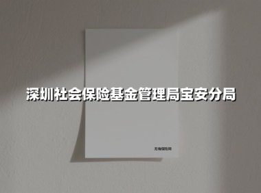 让社保服务更暖心|深圳社保宝安分局多措并举提升服务能级