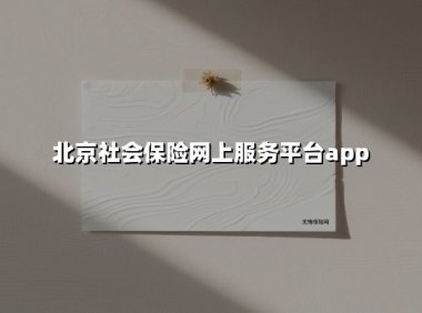 2025北京人社APP全指南:社保服务掌上办,省时省力更省心