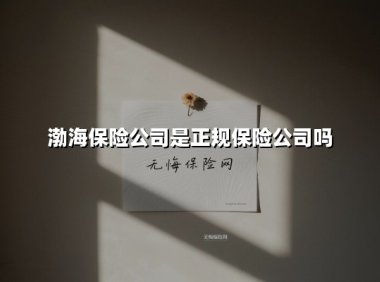 渤海保险公司是正规保险公司吗?揭秘资质、服务与市场表现