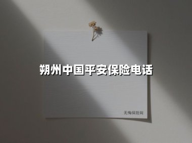 朔州中国平安人寿保险服务全指南:电话、地址与专业保障一网打尽