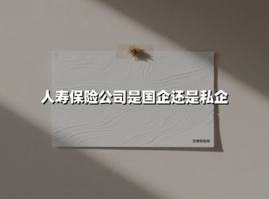 中国人寿:解析巨擘企业的国有基因与市场航向