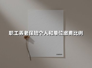 2025年最新解读:职工养老保险个人与单位缴费比例全透视