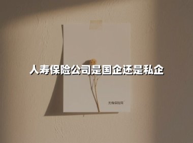 中国人寿:解析巨擘企业的国有基因与市场航向