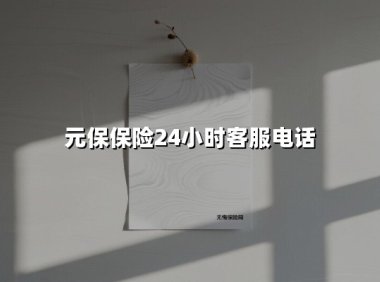 元保保险24小时客服:全天候守护您的安全与权益