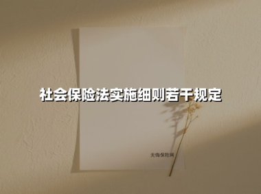 2025年社会保险法实施细则权威解读：三大核心变化关系你的钱袋子