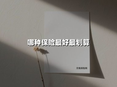 2025年高性价比保险选购指南：停售在即，这些产品别错过！