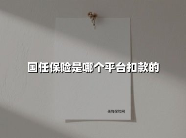 国任保险扣款平台揭秘：这些“隐秘扣费”究竟从何而来？