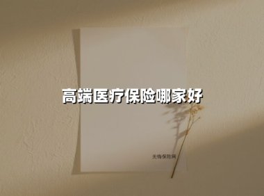 2025年高端医疗保险深度对比：从品质医疗到全球服务的破局者之战
