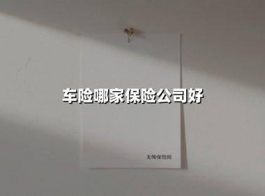 车险哪家保险公司好?2025年车主必看的选择指南